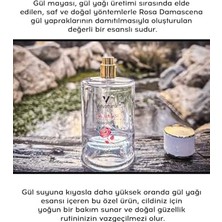 Gül MAYASI%100 Doğal Gözenek Sıkılaştırıcı Saf Tonik