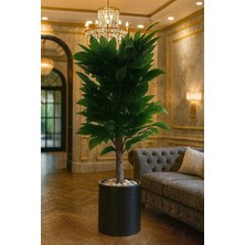 Altun Çiçekcilik Yapay Ceviz Ağacı 150 cm Lüx Metal Saksı ve Dolomit Taşı Dahil