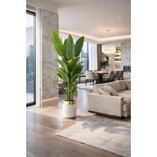 Altun Çiçekcilik Starliçe 180 cm Lux Metal Saksı Dahıl