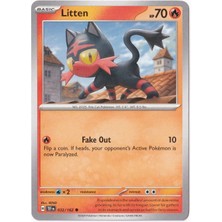 Litten 032/162 - Temporal Forces - Pokemon Kartı (Mint)