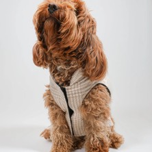 JesPawty Köpek Oduncu Yeleği