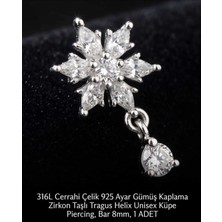Begonia Accessories 316L Cerrahi Çelik Paslanmaz Kararmaz Alerji Yapmaz Zirkon Taşlı Figürlü Unisex Tragus Helix Küpe Piercing G106-2