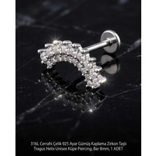Begonia Accessories 316L Cerrahi Çelik Paslanmaz Kararmaz Alerji Yapmaz Zirkon Taşlı Figürlü Unisex Tragus Helix Küpe Piercing G106-6