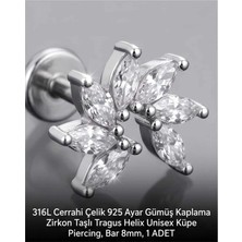 Begonia Accessories 316L Cerrahi Çelik Paslanmaz Kararmaz Alerji Yapmaz Zirkon Taşlı Figürlü Unisex Tragus Helix Küpe Piercing G106-8