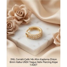 Begonia Accessories 316L Cerrahi Çelik Altın Kaplama Kararmaz Alerji Yapmaz Zirkon Taş Figür 1 Adet Unisex Minimal Halka Tragus Helix Küpe Piercing A503-2
