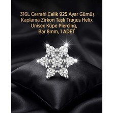 Begonia Accessories 316L Cerrahi Çelik Paslanmaz Kararmaz Alerji Yapmaz Zirkon Taşlı Figürlü Unisex Tragus Helix Küpe Piercing G106-34