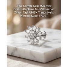 Begonia Accessories 316L Cerrahi Çelik Paslanmaz Kararmaz Alerji Yapmaz Zirkon Taşlı Figürlü Unisex Tragus Helix Küpe Piercing G429-3