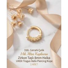 Begonia Accessories 316L Cerrahi Çelik Altın Kaplama Kararmaz Alerji Yapmaz Zirkon Taş Figür 1 Adet Unisex Minimal Halka Tragus Helix Küpe Piercing A503-21