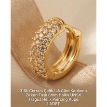 Begonia Accessories 316L Cerrahi Çelik Altın Kaplama Kararmaz Alerji Yapmaz Zirkon Taş Figür 1 Adet Unisex Minimal Halka Tragus Helix Küpe Piercing A503-34
