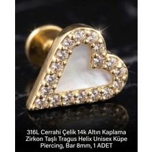 Begonia Accessories 316L Cerrahi Çelik Altın Kaplama Kararmaz Alerji Yapmaz Zirkon Taş Figür Unisex Tragus Helix Küpe Piercing A106-12