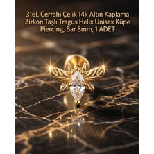 Begonia Accessories 316L Cerrahi Çelik Altın Kaplama Kararmaz Alerji Yapmaz Zirkon Taş Figür Unisex Tragus Helix Küpe Piercing A106-28