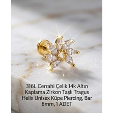 Begonia Accessories 316L Cerrahi Çelik Altın Kaplama Kararmaz Alerji Yapmaz Zirkon Taş Figür Unisex Tragus Helix Küpe Piercing A106-30