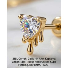 Begonia Accessories 316L Cerrahi Çelik Altın Kaplama Kararmaz Alerji Yapmaz Zirkon Taş Figür Unisex Tragus Helix Küpe Piercing A106-31