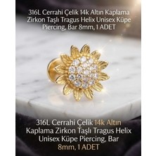 Begonia Accessories 316L Cerrahi Çelik Altın Kaplama Kararmaz Alerji Yapmaz Zirkon Taş Figür Unisex Tragus Helix Küpe Piercing A106-34