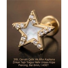 Begonia Accessories 316L Cerrahi Çelik Altın Kaplama Kararmaz Alerji Yapmaz Zirkon Taş Figür Unisex Tragus Helix Küpe Piercing A106-36