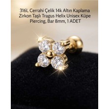 Begonia Accessories 316L Cerrahi Çelik Altın Kaplama Kararmaz Alerji Yapmaz Zirkon Taş Figür Unisex Tragus Helix Küpe Piercing A106-38