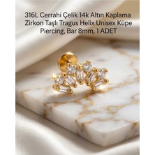 Begonia Accessories 316L Cerrahi Çelik Altın Kaplama Kararmaz Alerji Yapmaz Zirkon Taş Figür Unisex Tragus Helix Küpe Piercing A106-4