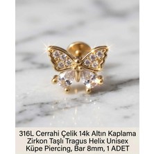 Begonia Accessories 316L Cerrahi Çelik Altın Kaplama Kararmaz Alerji Yapmaz Zirkon Taş Figür Unisex Tragus Helix Küpe Piercing A106-41