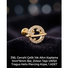Begonia Accessories 316L Cerrahi Çelik Altın Kaplama Kararmaz Alerji Yapmaz Zirkon Taş Figür Unisex Tragus Helix Küpe Piercing A429-10