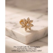 Begonia Accessories 316L Cerrahi Çelik Altın Kaplama Kararmaz Alerji Yapmaz Zirkon Taş Figür Unisex Tragus Helix Küpe Piercing A429-17