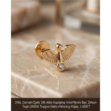 Begonia Accessories 316L Cerrahi Çelik Altın Kaplama Kararmaz Alerji Yapmaz Zirkon Taş Figür Unisex Tragus Helix Küpe Piercing A429-18