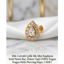 Begonia Accessories 316L Cerrahi Çelik Altın Kaplama Kararmaz Alerji Yapmaz Zirkon Taş Figür Unisex Tragus Helix Küpe Piercing A429-19