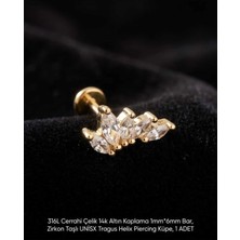 Begonia Accessories 316L Cerrahi Çelik Altın Kaplama Kararmaz Alerji Yapmaz Zirkon Taş Figür Unisex Tragus Helix Küpe Piercing A429-21