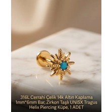 Begonia Accessories 316L Cerrahi Çelik Altın Kaplama Kararmaz Alerji Yapmaz Zirkon Taş Figür Unisex Tragus Helix Küpe Piercing A429-22