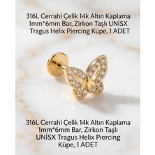 Begonia Accessories 316L Cerrahi Çelik Altın Kaplama Kararmaz Alerji Yapmaz Zirkon Taş Figür Unisex Tragus Helix Küpe Piercing A429-4