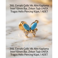 Begonia Accessories 316L Cerrahi Çelik Altın Kaplama Kararmaz Alerji Yapmaz Zirkon Taş Figür Unisex Tragus Helix Küpe Piercing A429-44