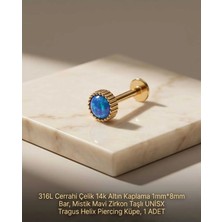 Begonia Accessories 316L Cerrahi Çelik Altın Kaplama Kararmaz Alerji Yapmaz Zirkon Taş Figür Unisex Tragus Helix Küpe Piercing A429-5