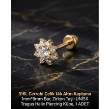 Begonia Accessories 316L Cerrahi Çelik Altın Kaplama Kararmaz Alerji Yapmaz Zirkon Taş Figür Unisex Tragus Helix Küpe Piercing A429-52