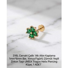 Begonia Accessories 316L Cerrahi Çelik Altın Kaplama Kararmaz Alerji Yapmaz Zirkon Taş Figür Unisex Tragus Helix Küpe Piercing A429-7