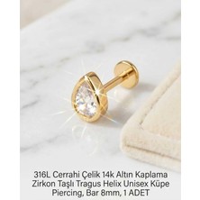 Begonia Accessories 316L Cerrahi Çelik Altın Kaplama Kararmaz Alerji Yapmaz Zirkon Taş Figür Unisex Tragus Helix Küpe Piercing A106-42