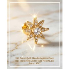 Begonia Accessories 316L Cerrahi Çelik Altın Kaplama Kararmaz Alerji Yapmaz Zirkon Taş Figür Unisex Tragus Helix Küpe Piercing A106-48