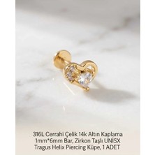 Begonia Accessories 316L Cerrahi Çelik Altın Kaplama Kararmaz Alerji Yapmaz Zirkon Taş Figür Unisex Tragus Helix Küpe Piercing A429-16