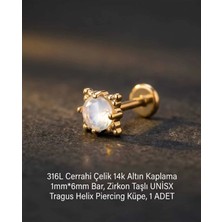 Begonia Accessories 316L Cerrahi Çelik Altın Kaplama Kararmaz Alerji Yapmaz Zirkon Taş Figür Unisex Tragus Helix Küpe Piercing A429-23
