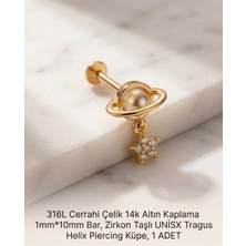 Begonia Accessories 316L Cerrahi Çelik Altın Kaplama Kararmaz Alerji Yapmaz Zirkon Taş Figür Unisex Tragus Helix Küpe Piercing A429-39