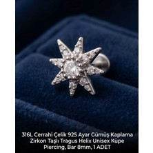 Begonia Accessories 316L Cerrahi Çelik Paslanmaz Kararmaz Alerji Yapmaz Zirkon Taşlı Figürlü Unisex Tragus Helix Küpe Piercing G106-32