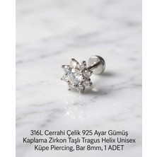 Begonia Accessories 316L Cerrahi Çelik Paslanmaz Kararmaz Alerji Yapmaz Zirkon Taşlı Figürlü Unisex Tragus Helix Küpe Piercing G106-9