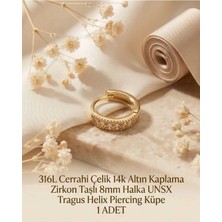 Begonia Accessories 316L Cerrahi Çelik Altın Kaplama Kararmaz Alerji Yapmaz Zirkon Taş Figür 1 Adet Unisex Minimal Halka Tragus Helix Küpe Piercing A503-24