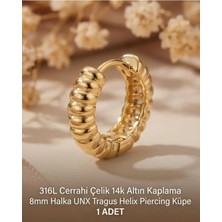 Begonia Accessories 316L Cerrahi Çelik Altın Kaplama Kararmaz Alerji Yapmaz Zirkon Taş Figür 1 Adet Unisex Minimal Halka Tragus Helix Küpe Piercing A503-7