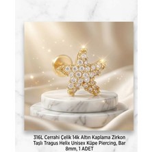 Begonia Accessories 316L Cerrahi Çelik Altın Kaplama Kararmaz Alerji Yapmaz Zirkon Taş Figür Unisex Tragus Helix Küpe Piercing A106-15