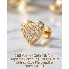 Begonia Accessories 316L Cerrahi Çelik Altın Kaplama Kararmaz Alerji Yapmaz Zirkon Taş Figür Unisex Tragus Helix Küpe Piercing A106-17