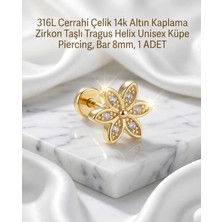 Begonia Accessories 316L Cerrahi Çelik Altın Kaplama Kararmaz Alerji Yapmaz Zirkon Taş Figür Unisex Tragus Helix Küpe Piercing A106-21