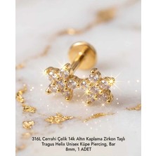 Begonia Accessories 316L Cerrahi Çelik Altın Kaplama Kararmaz Alerji Yapmaz Zirkon Taş Figür Unisex Tragus Helix Küpe Piercing A106-29