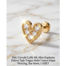 Begonia Accessories 316L Cerrahi Çelik Altın Kaplama Kararmaz Alerji Yapmaz Zirkon Taş Figür Unisex Tragus Helix Küpe Piercing A106-33