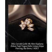 Begonia Accessories 316L Cerrahi Çelik Altın Kaplama Kararmaz Alerji Yapmaz Zirkon Taş Figür Unisex Tragus Helix Küpe Piercing A106-39