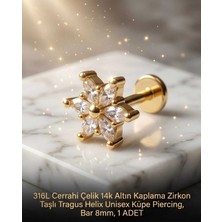 Begonia Accessories 316L Cerrahi Çelik Altın Kaplama Kararmaz Alerji Yapmaz Zirkon Taş Figür Unisex Tragus Helix Küpe Piercing A106-47