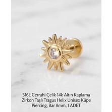 Begonia Accessories 316L Cerrahi Çelik Altın Kaplama Kararmaz Alerji Yapmaz Zirkon Taş Figür Unisex Tragus Helix Küpe Piercing A106-5